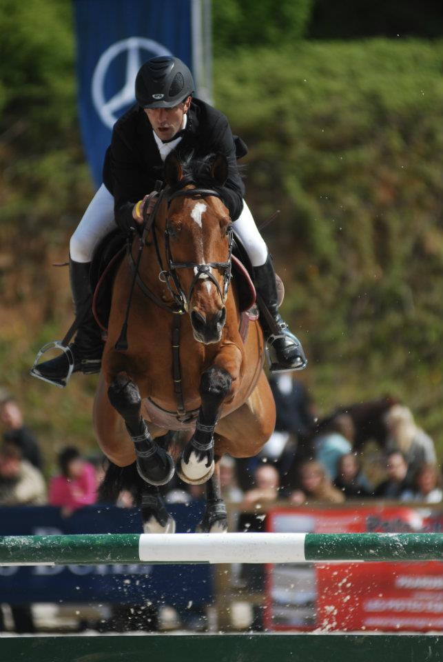 Stefan Weemaes - Showjumping Rider